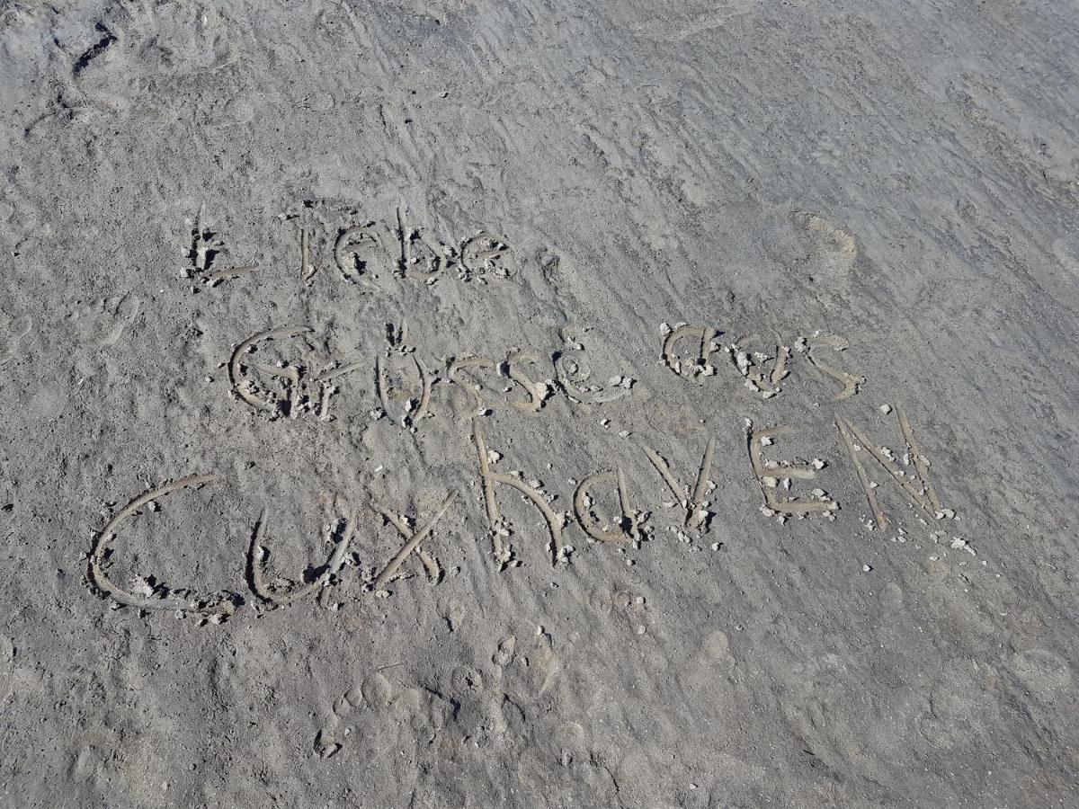 Kleine Nixe Seestern Cuxhaven Kültér fotó